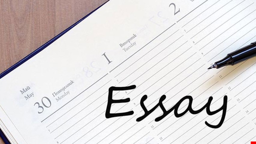 Essay Writing for Students of Colleges in U.S.